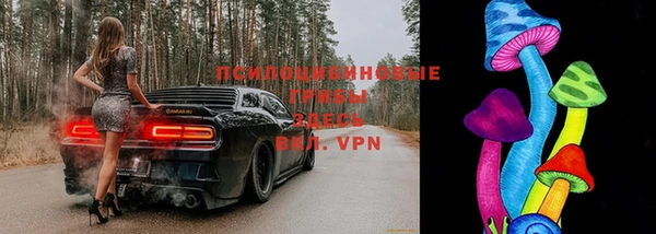 прущие крисы Балахна