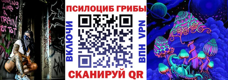 дарк нет наркотические препараты  Фрязино  Галлюциногенные грибы мицелий 